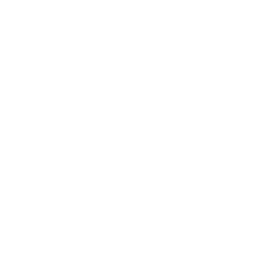 فريق الخبراء